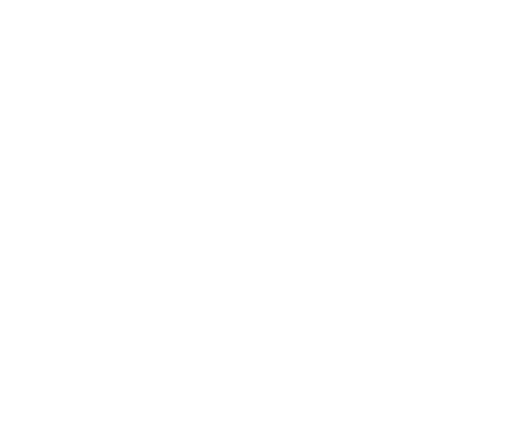 VortexEvents White V